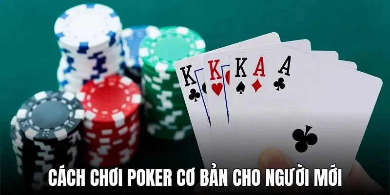 Tạo dựng nền tảng chơi Poker vững chắc