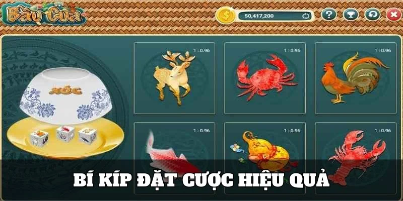 Bí kíp chọn cửa đẳng cấp từ cao thủ trong bầu tôm cua cá